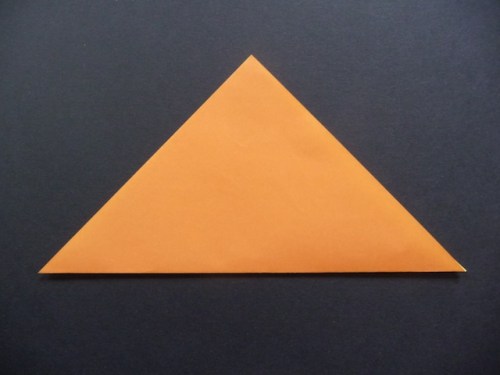 Valley fold paper in half diagonally.